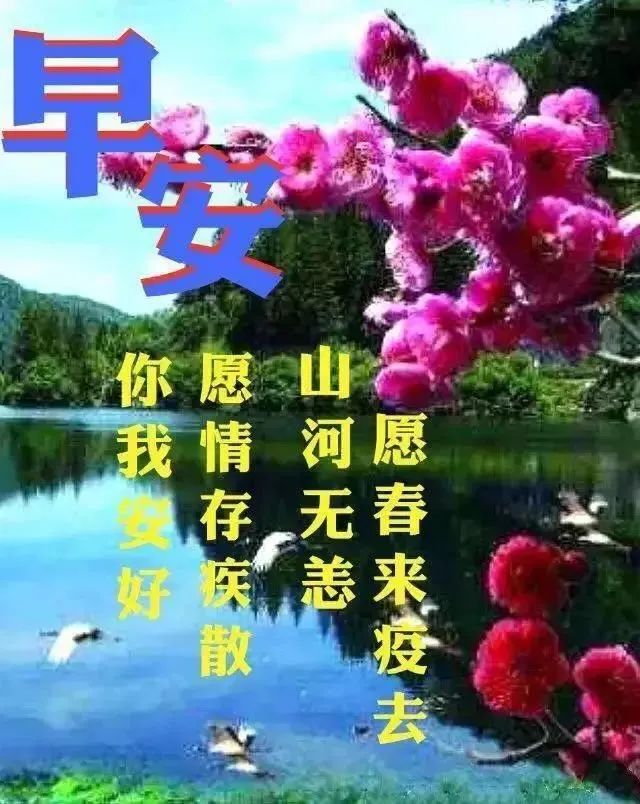 2022早上好问候语最新动态祝福图片 清晨阳光照在身 祝你幸福又平安图片