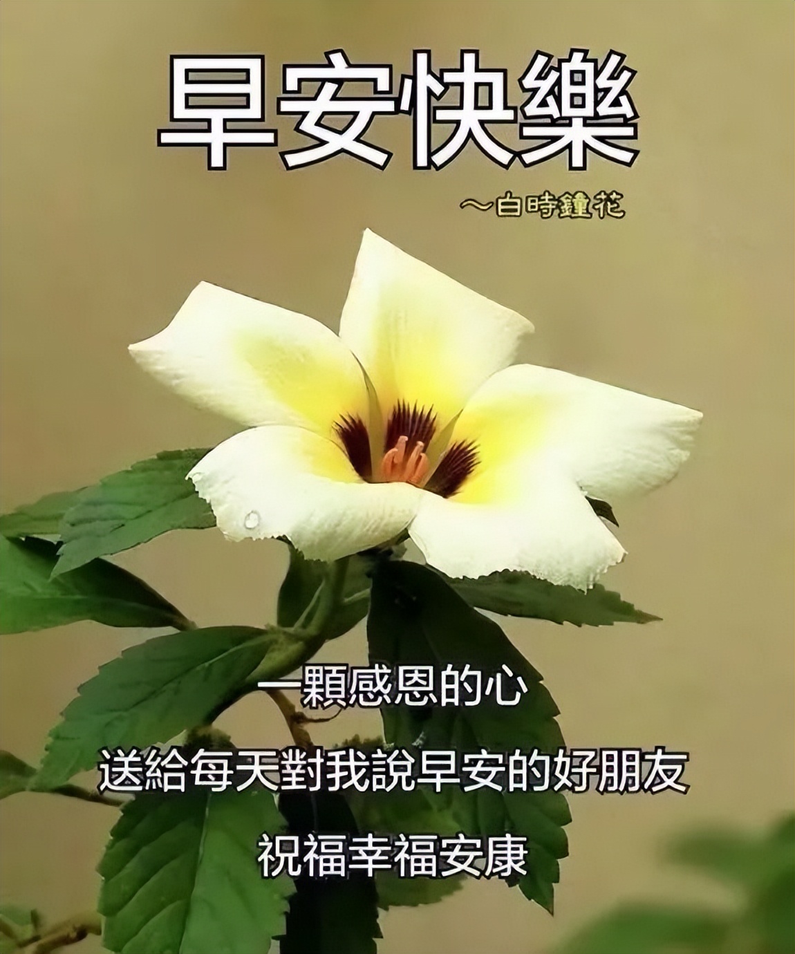 早上好微信温馨祝福图片问候语，又是快乐早晨，送你健康与幸福图片