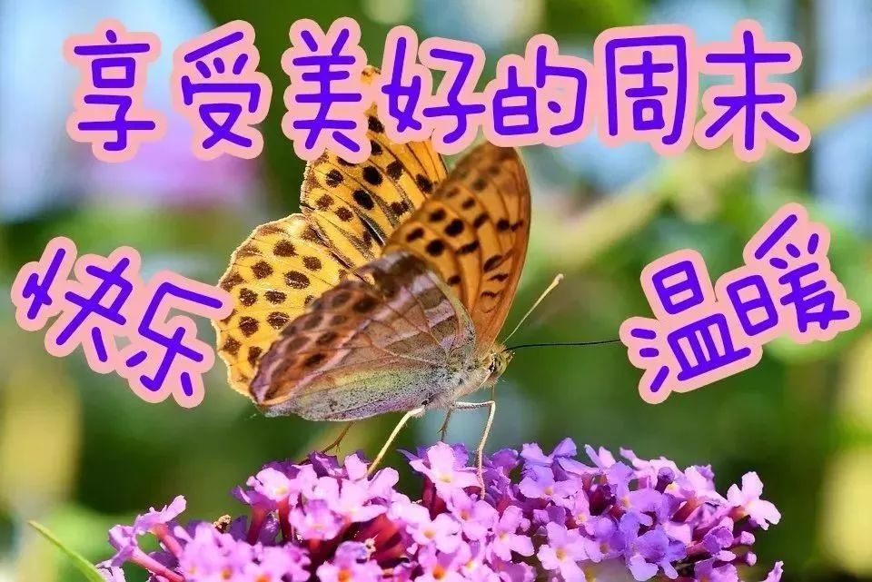 微信早安问候朋友的温馨语录 晨起一声早，事事皆美好图片