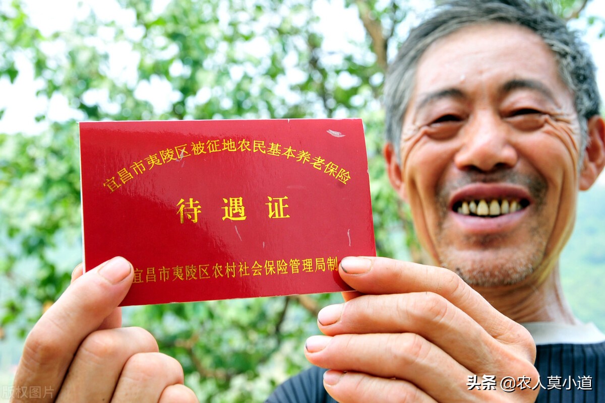 作为农村里的农民，缴纳养老保险，在哪一个档次更加划算呢？