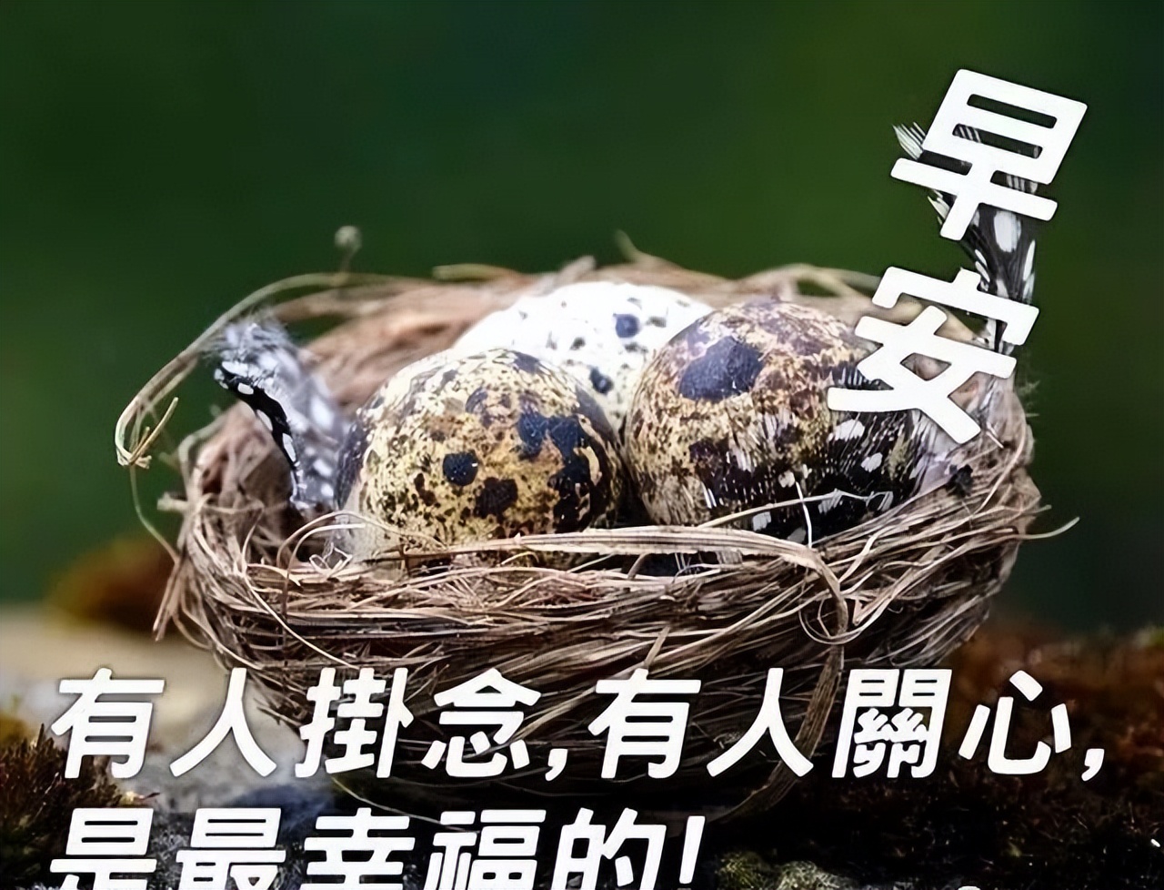 漂亮的早上好图片祝福语表情包带字 祝你幸福又平安图片
