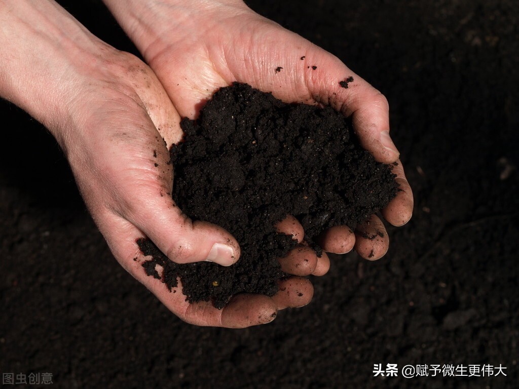 粮乡——坚决打赢净土保卫战
