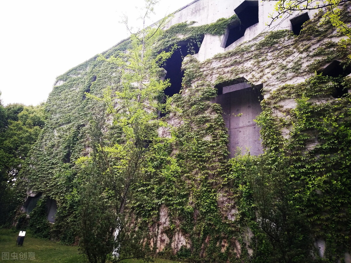 又有新变化！中国美术学院线下校考变网络校考应如何应对？