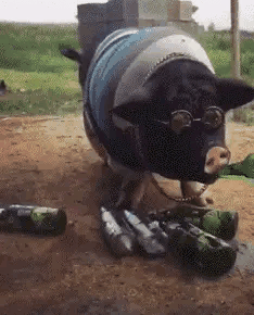 女朋友出差了，说去了上海出差，还给我发来了一张这样的照片