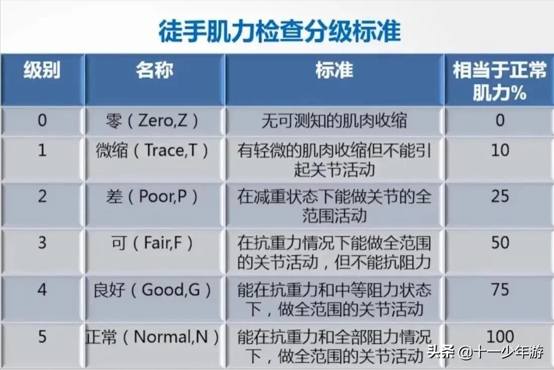 nba被动肌张力包括有哪些(运动系统解剖、生理及损害表现)