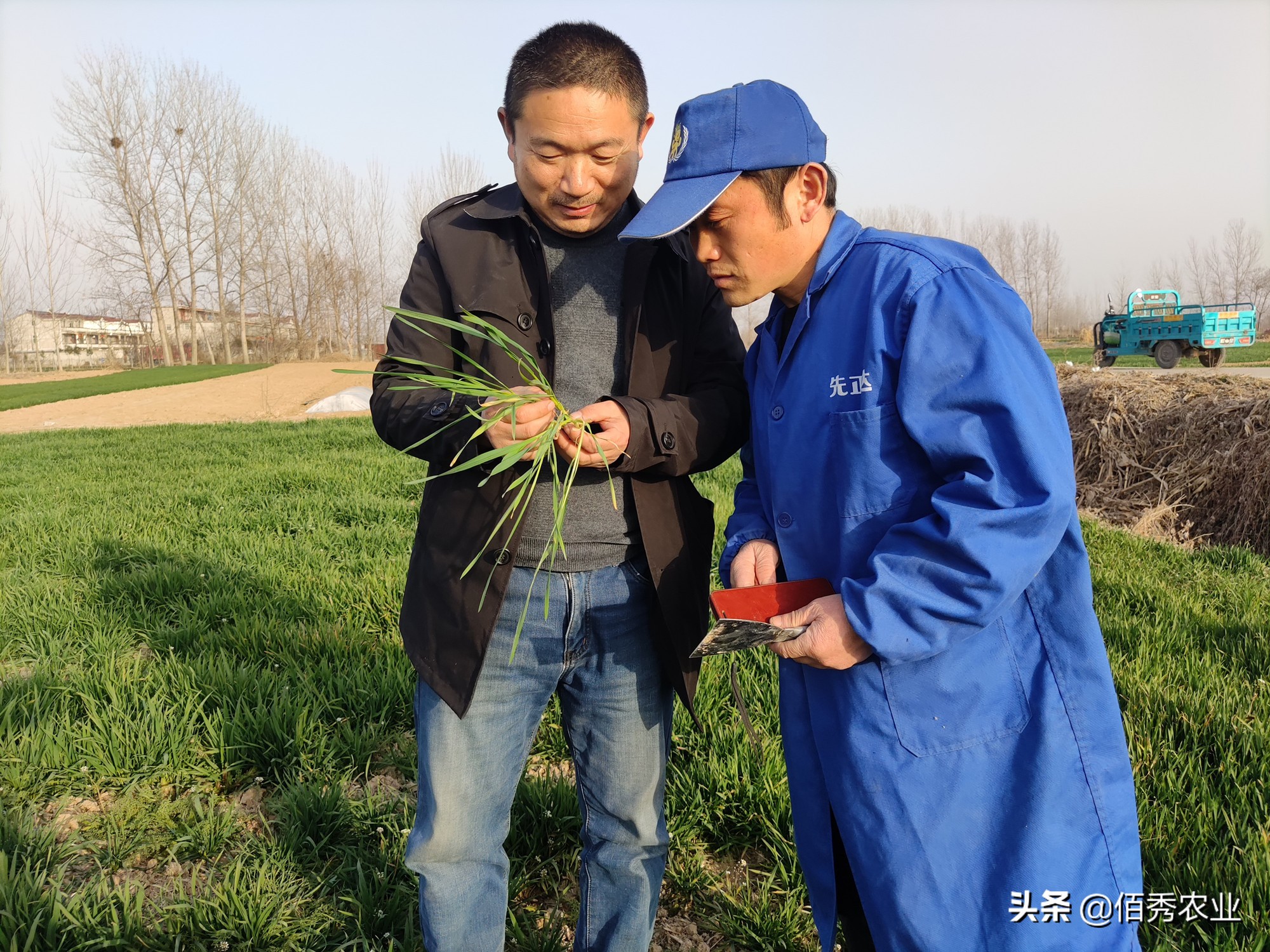 土地出租,土地出租合同怎么写