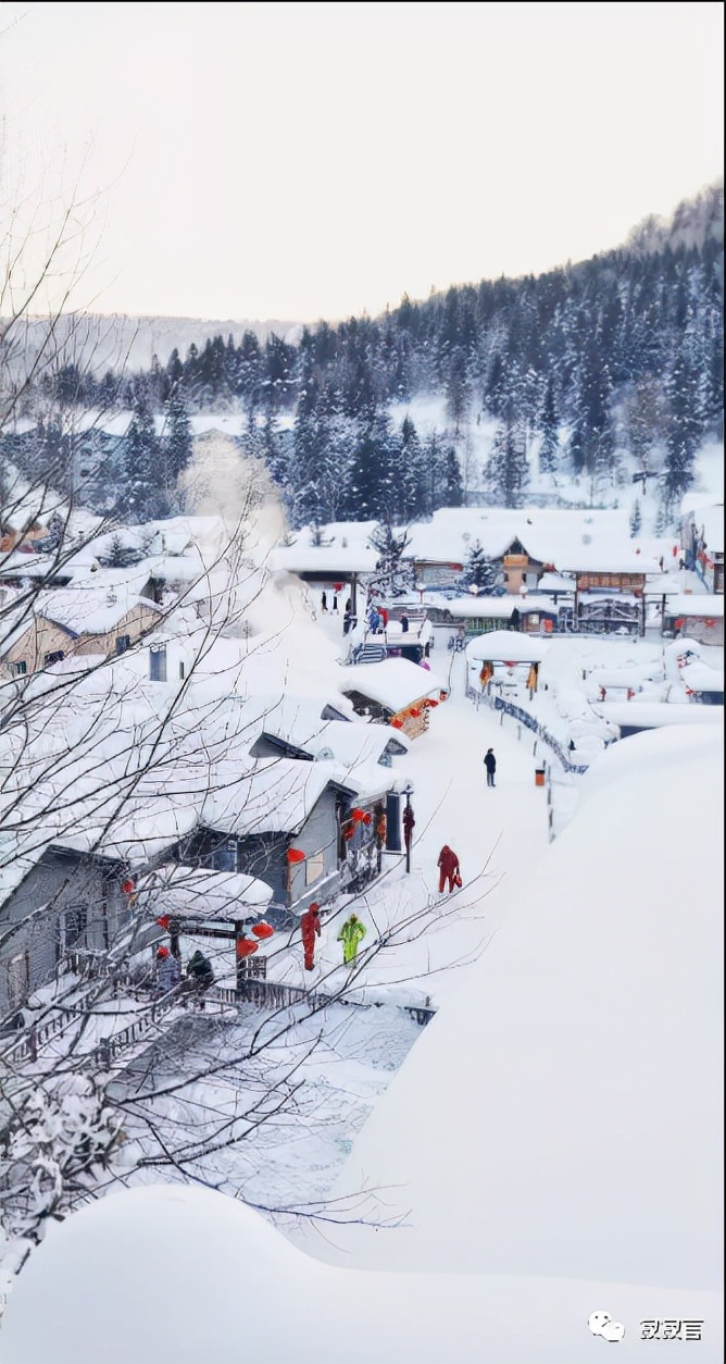 没有雪的江南冬天,像是缺了烟火气的水煮菜一样无味寡淡