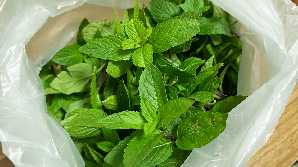 夏天,遇到薄荷别手软,比韭菜香比黄瓜鲜,随手一炒,清凉又解暑