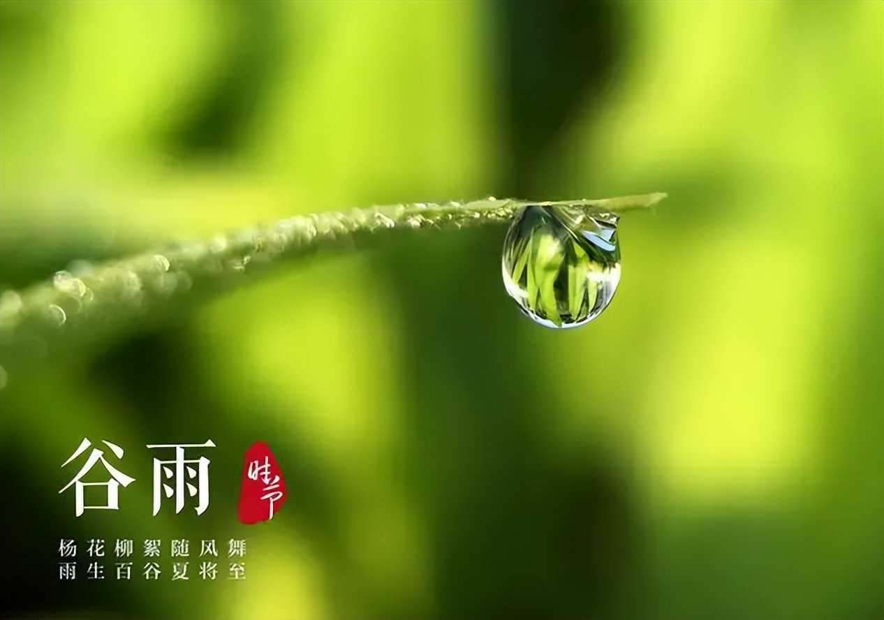 谷雨吃3宝，一年没烦恼！记得多吃1黑2红，舒服安康迎初夏