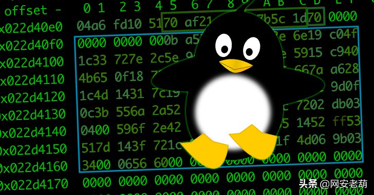 新的 Linux 恶意软件框架允许攻击者在目标系统上安装 Rootkit