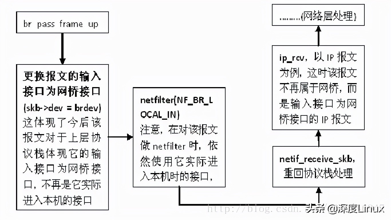 网桥、vlan、源目MAC地址的链路层处理