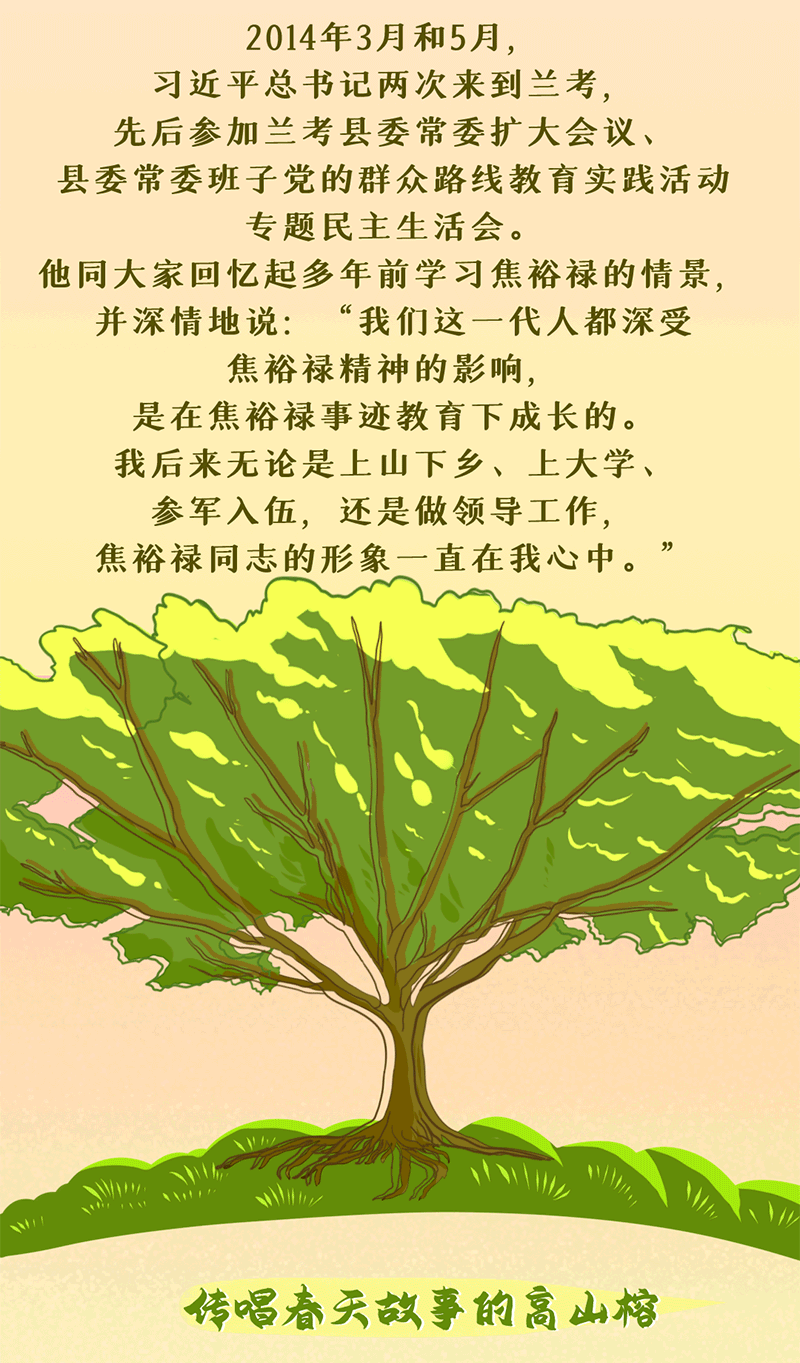 绘学习丨习近平与“树”的故事