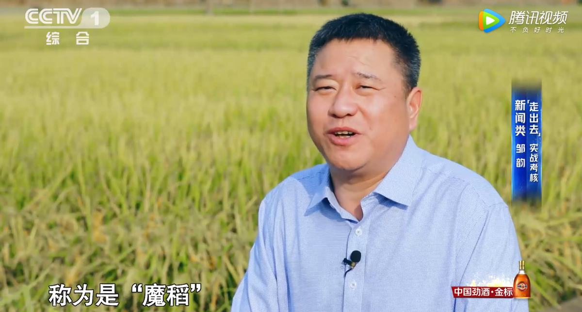 邹韵：9年磨一剑，主持人大赛金奖获得者，有望成为水均益接班人