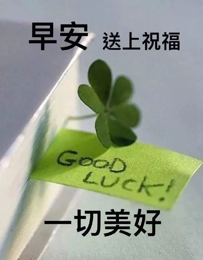 周三朋友圈唯美的早晨祝福语图片 问候是一种快乐 关心是一种幸福图片