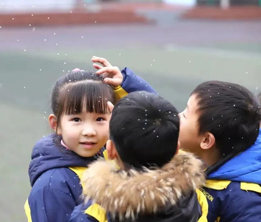 心育未来 静待花开——南湖小学（含北区）心理健康教育工作掠影
