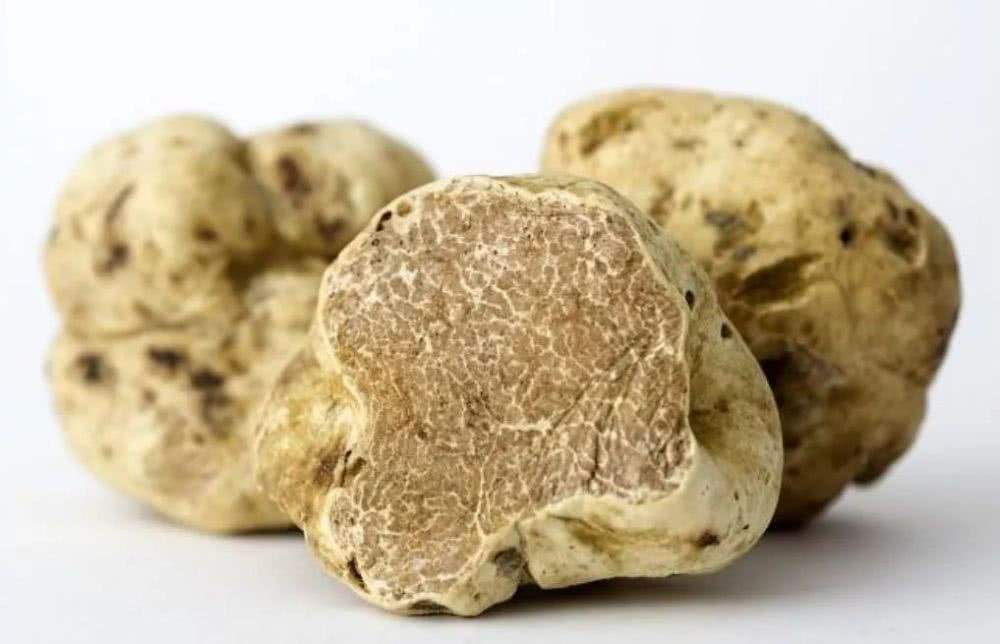 盘点10款价格昂贵的美食，用钻石黄金来作为装饰品，你吃过几个呢