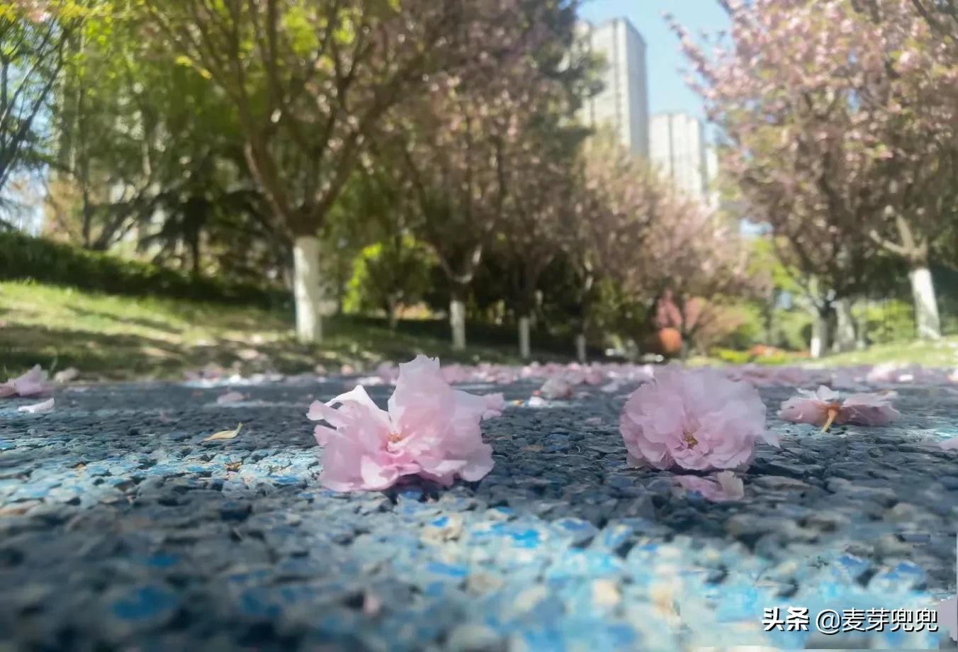 等风来，等雨落，等花开，一切皆安