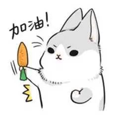 优微推荐丨考研初试结束后，现在应该做什么？