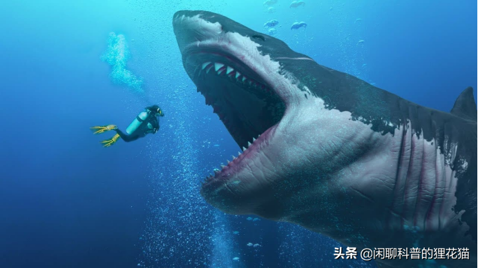 盘点史前海洋十大巨兽，从寒武纪走过始新世，每个时代顶级捕食者