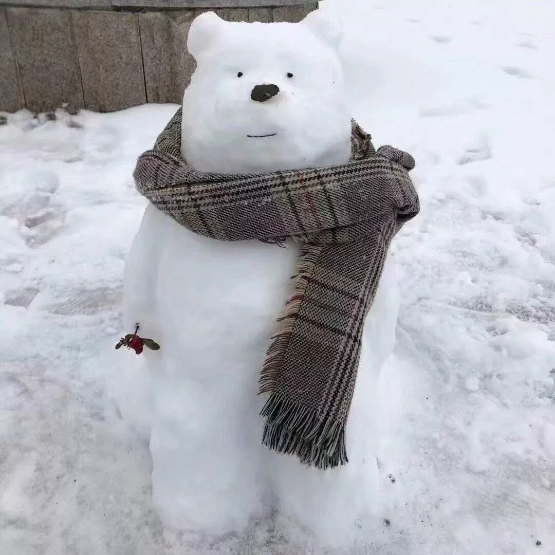 开年瑞雪，师大校园寂静如诗