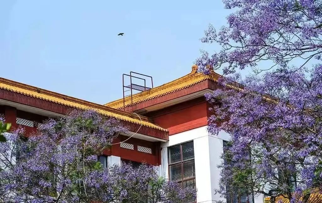 与时代同行，聚有志之士！四川大学：风雨百廿，与你共赴“一流”！