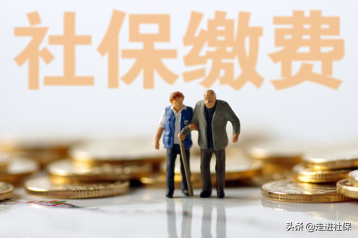 八十九、社保缴费成功已超过一天，为何查不到？