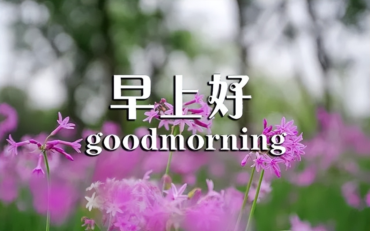 周末温馨的早上好祝福问候语动态图片，郭浩充实今日就有美好明天图片