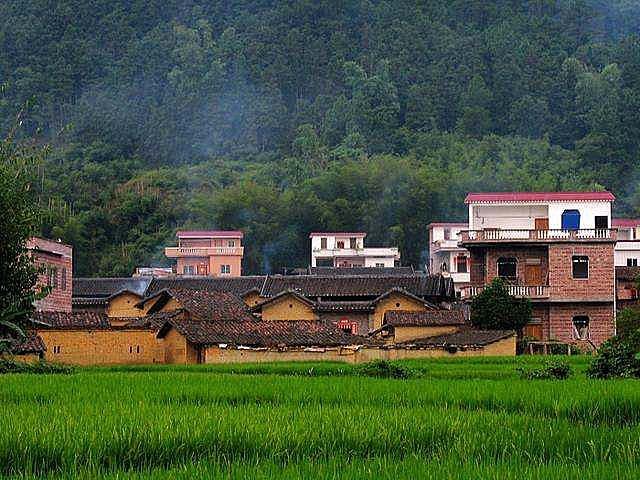 安徽光棍兄弟收养弃婴，给拖拉机装土赚奶粉钱，34年后女婴成教师