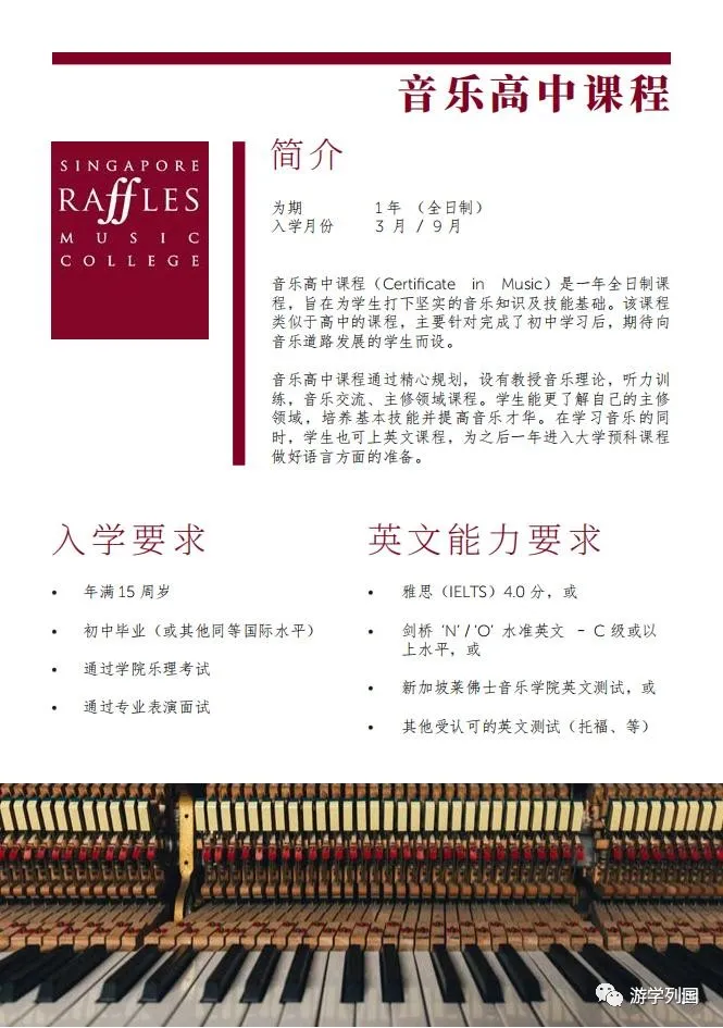新加坡留学-新加坡莱佛士音乐学院