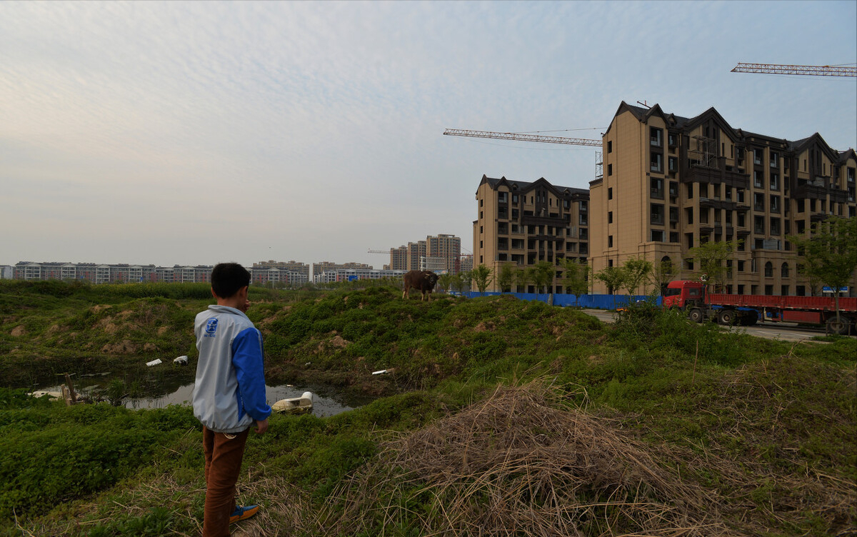 土地撂荒，土质退化，产量不稳，怎么办？专家：提高农民种粮收入