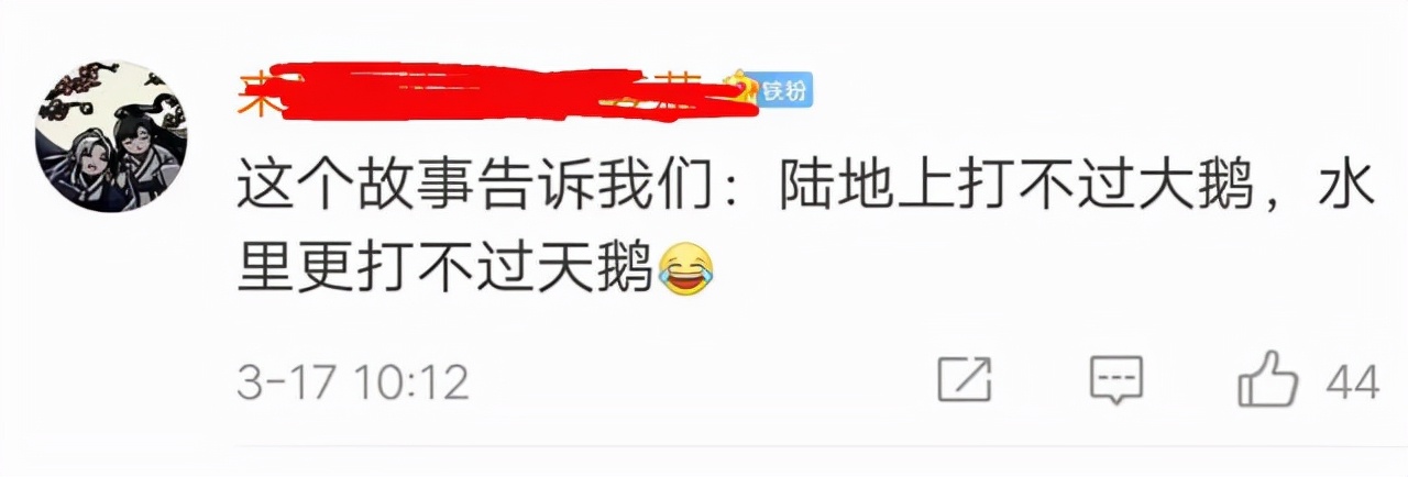 南京高校体育生下湖游泳，被湖中的黑天鹅“暴揍”，毫无还手之力