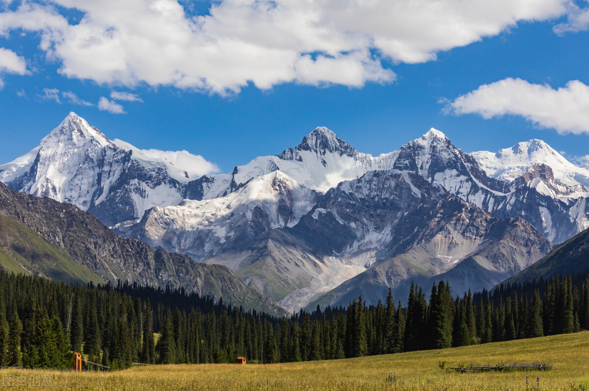 高考英语语篇语法填空题的解析与教学探究