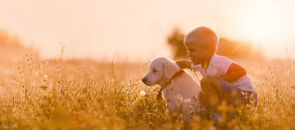 元宵节已至：新的一年，努力奋斗，财气满满