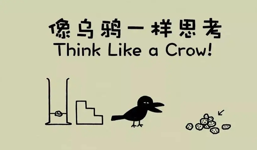 央視力薦！17部神級紀錄片，格局炸裂