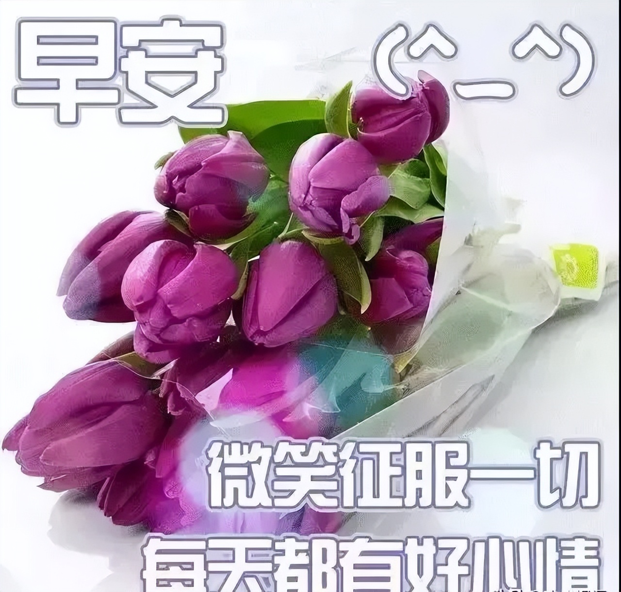 早上好表情包，一声问候，一句牵挂，财神家中去，梦想变成真图片