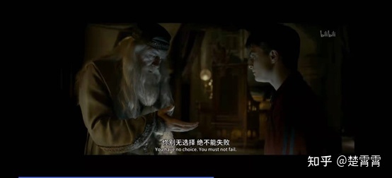 用爱拯救世界的前夜——《哈利波特与混血王子》