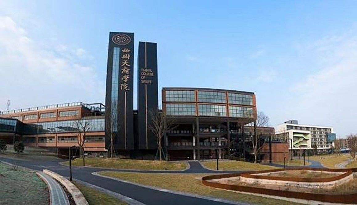 高考写甲骨文，川大破格将他录取，导师却直言：宁愿辞职也不教他