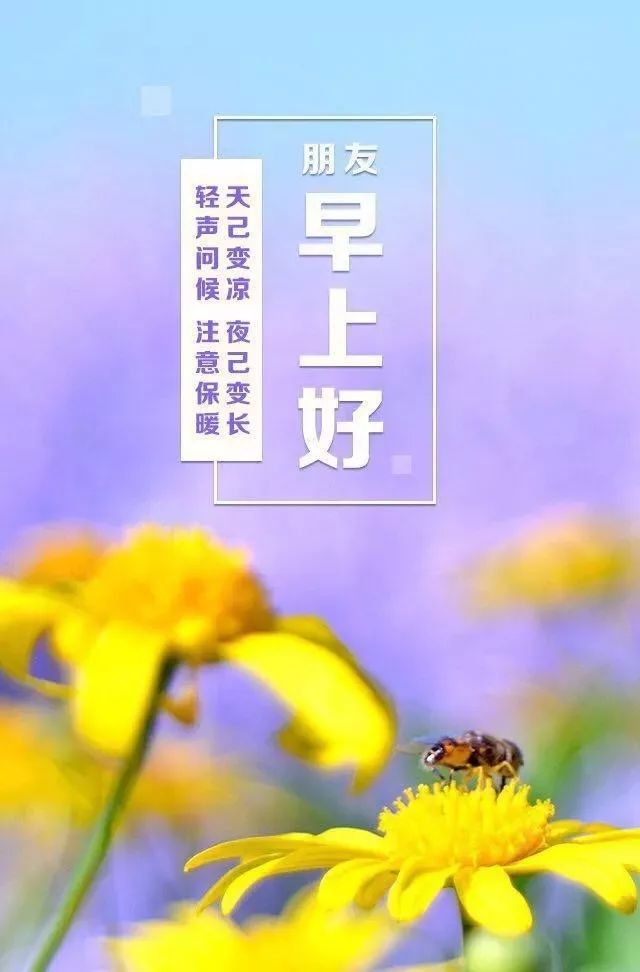 2022美女早上好表情问候图片带字 祝愿你家人都健康、朋友都快乐图片