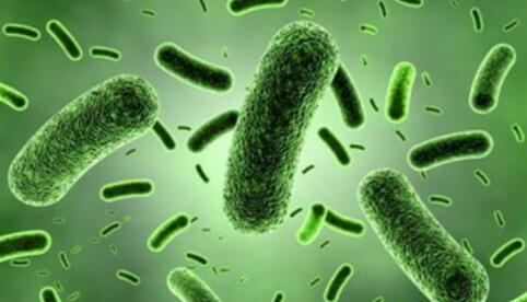 疖怎么读？疖的读音和意思