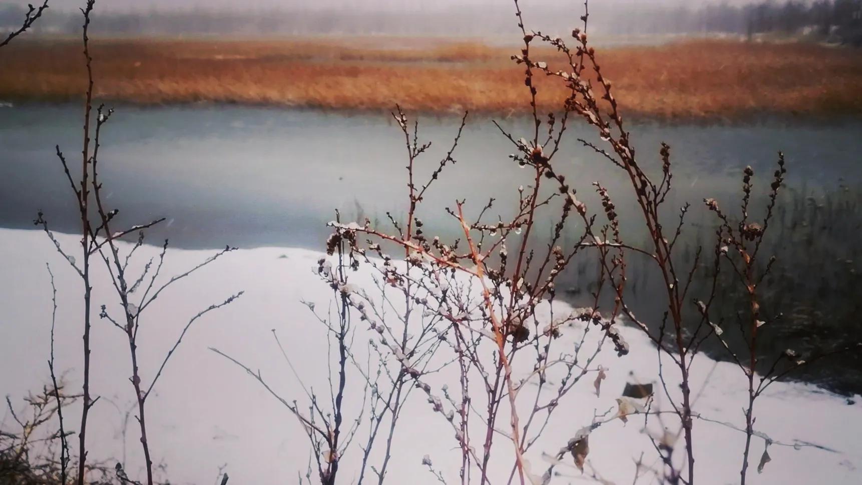 三月春雪静美，湖畔一步一深喜