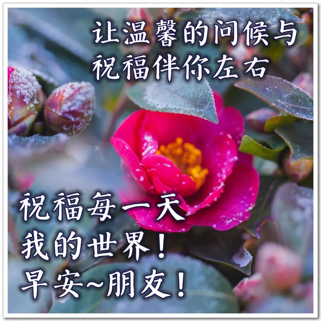 微信朋友圈早上好暖心问候语图片 满满的牵挂，问候送吉祥图片