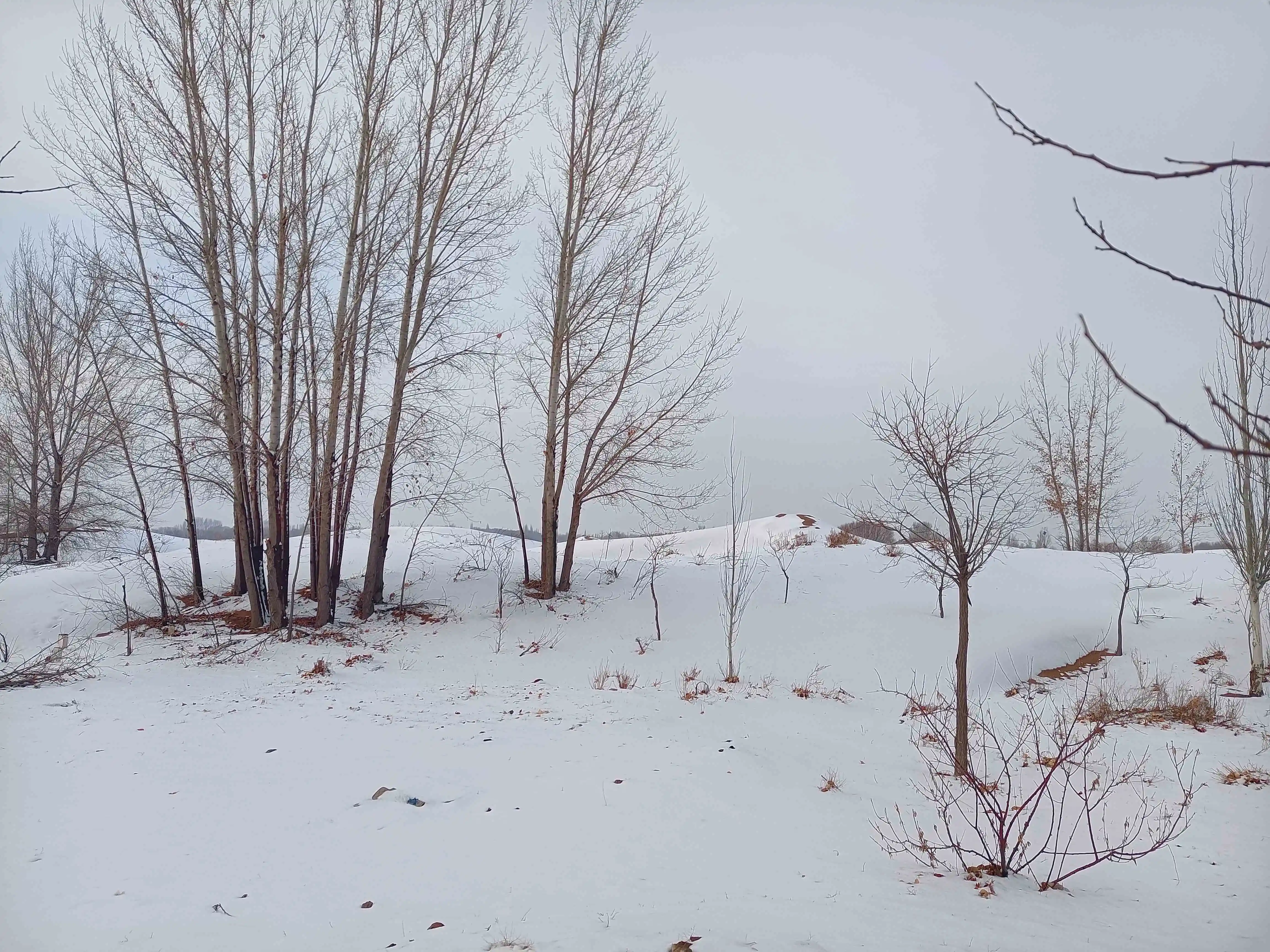 库布其大雪封沙，天降福报