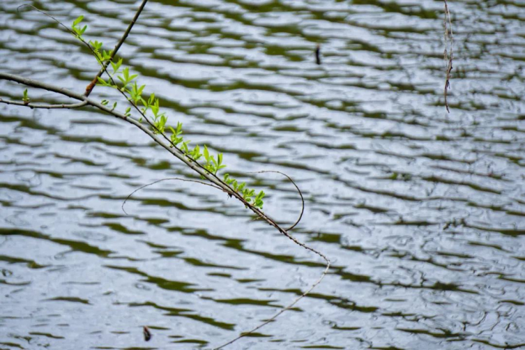心动预警！南京大学这些“最美校花”，堪称颜值天花板！