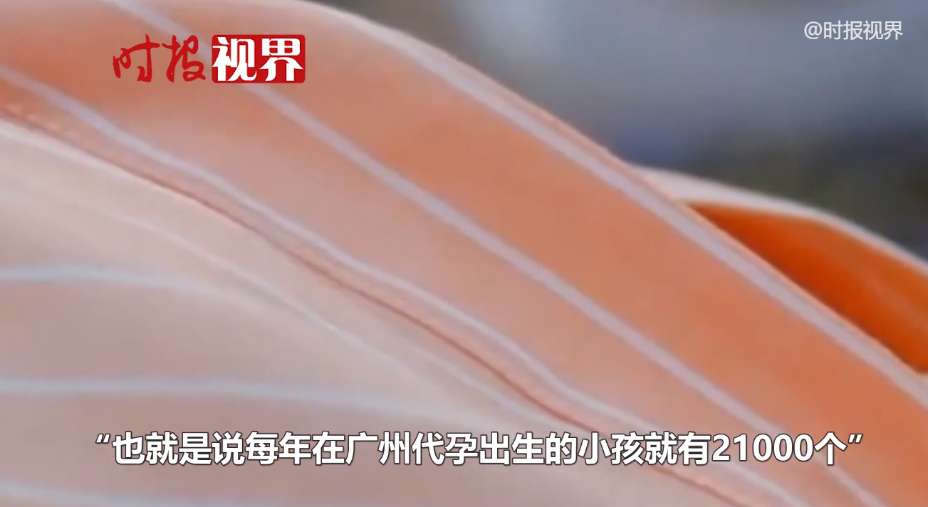 85万包生男孩，清华美女硕士卵子高达68万，揭秘代孕乱象