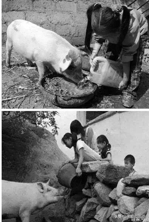 50张老照片:6070后80后的记忆,你的童年是这样么?张张戳中泪点