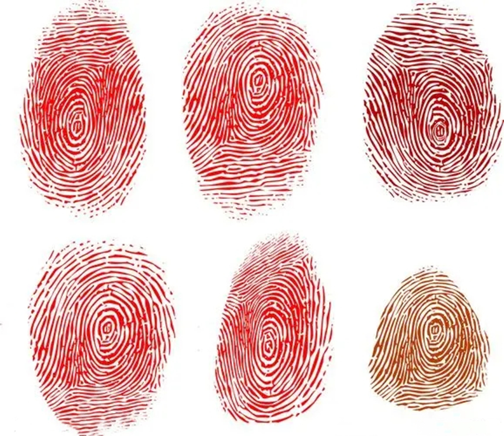 不能过度沉迷这种说法,应该通过自己的指纹特征情况了解和认识自己