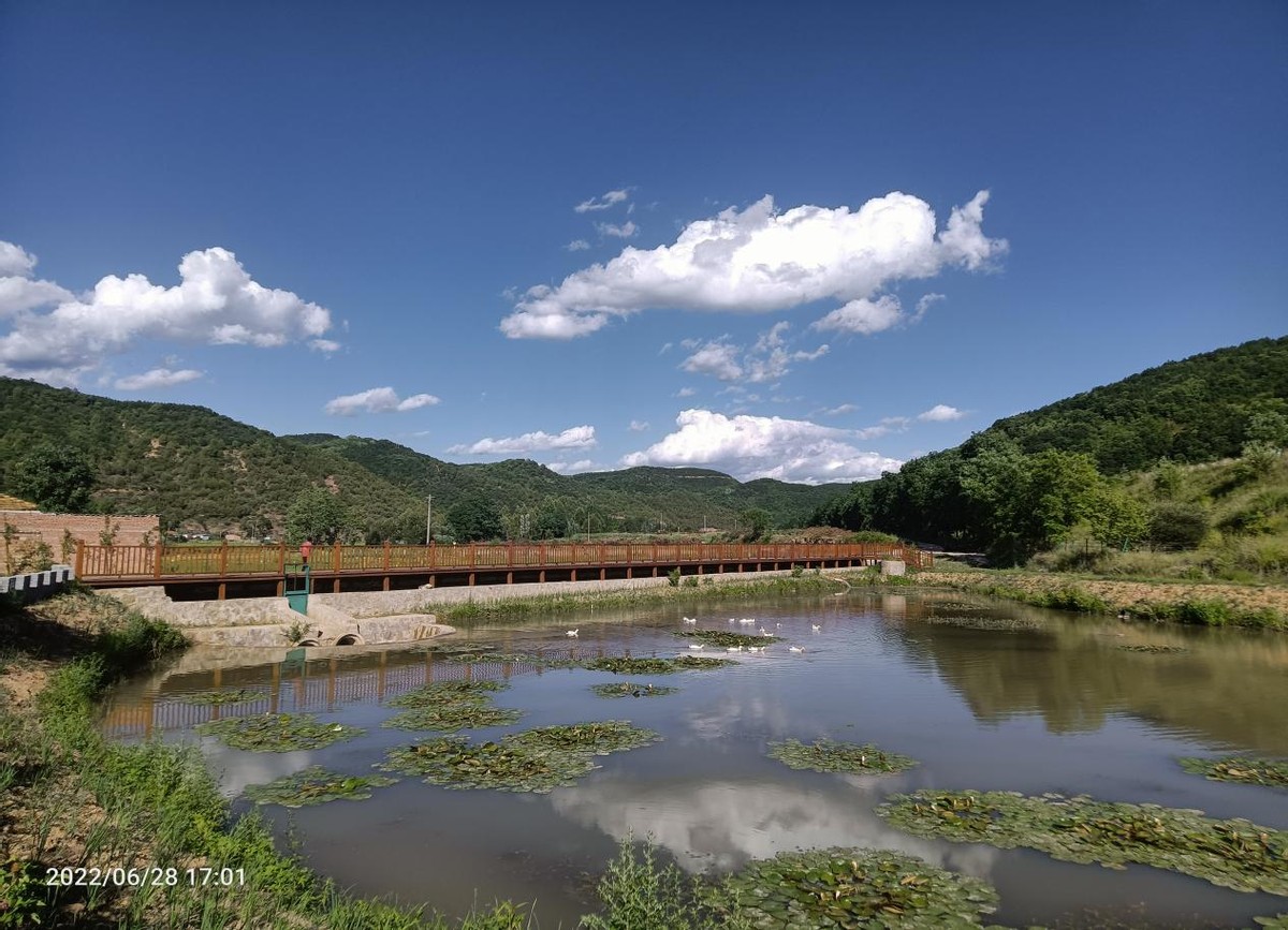 水稻专业村——富县川庄村 精心建设“网红”生态农业田园