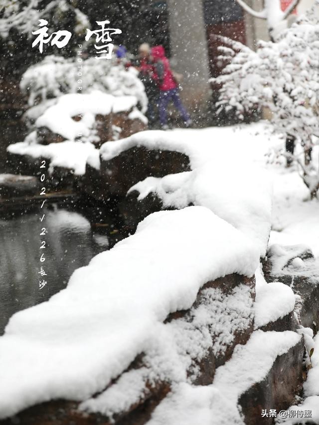 银装素裹分外妖娆，看点评学摄影，把雪景照片拍出新意