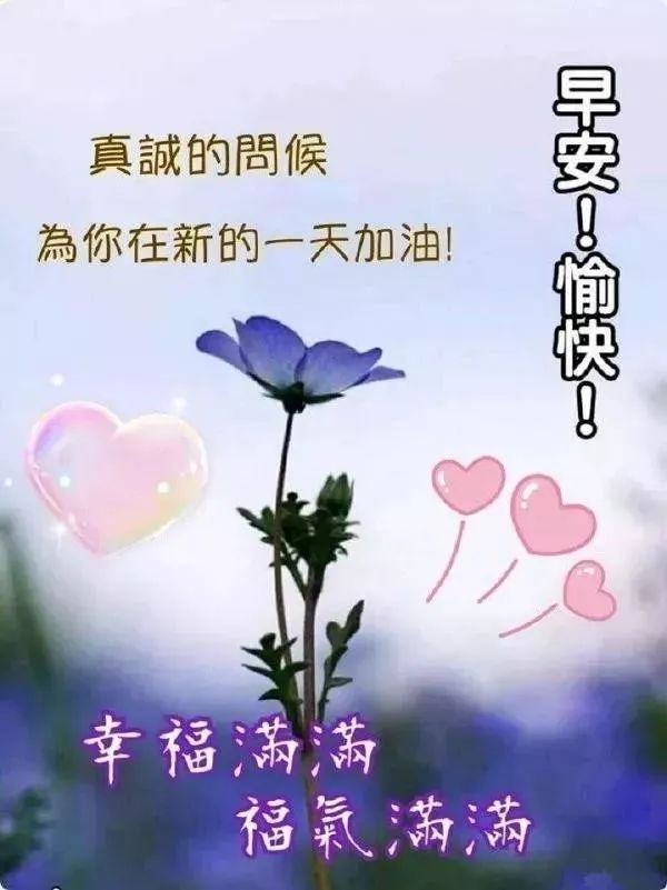 周三微信最美早晨好问候语图片大全 心定生智慧、行善得福气图片