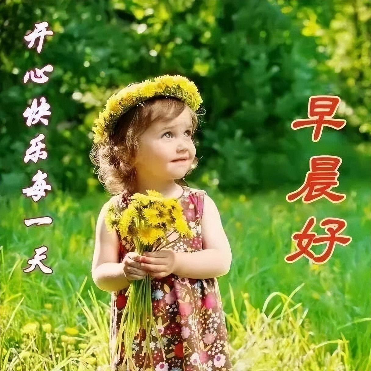 清晨微信早安美好祝福，祝你早安顺心，万事大吉，心情漂亮如花图片